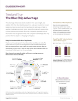 Tried and True: The Blue Chip Advantage