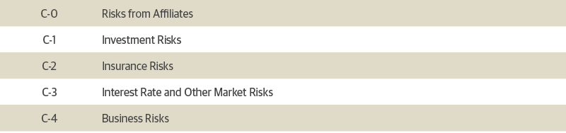 Five RBC Risk Categories