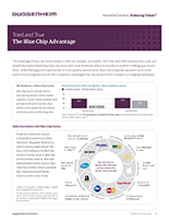 Tried and True: The Blue Chip Advantage