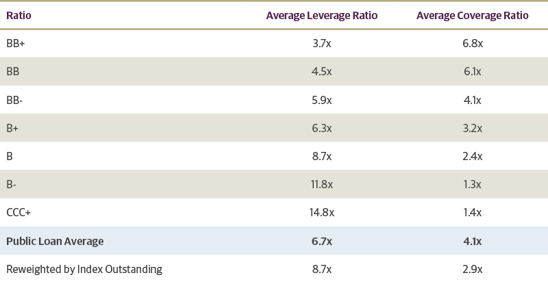 Public Loan Issuer Credit Ratios